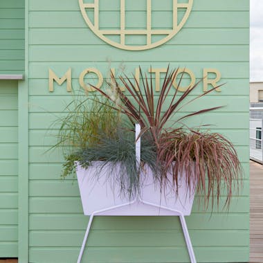 Planter box in pastel purple at hotel entrance
