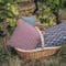 A basket of Fermob Envie d'ailleurs outdoor cushions under a grapevine