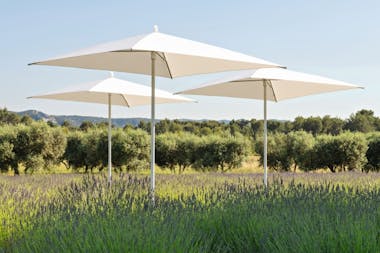 Vlaemnyck Paxi parasol in lavender field