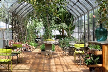 Inside the greenhouse at Babylonstoren