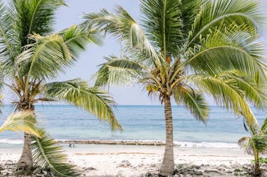 Palm lined beach at Botanica Cayman