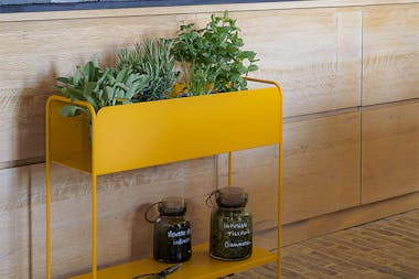 Fermob Picolino plant holder in kitchen with herbs